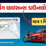 ડ્રાઇવિંગ લાઇસન્સ ડાઉનલોડ કરો | Driving Licence Download Online Gujarat