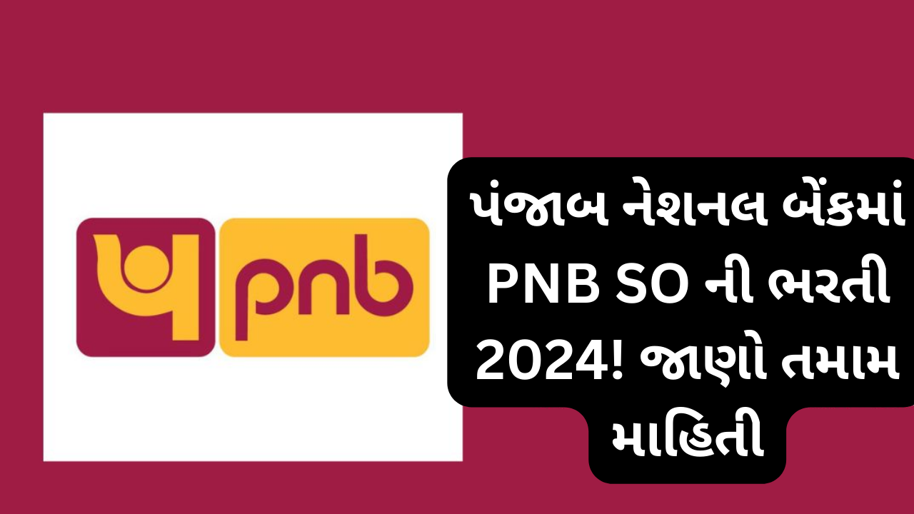 punjab national bank recruitment 2024