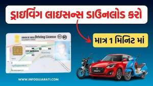 ડ્રાઇવિંગ લાઇસન્સ ડાઉનલોડ કરો | Driving Licence Download Online Gujarat